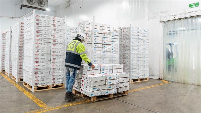 GAC Overseas Food Manufacturer Registration What Exporters Need to Know Before June 1 2026